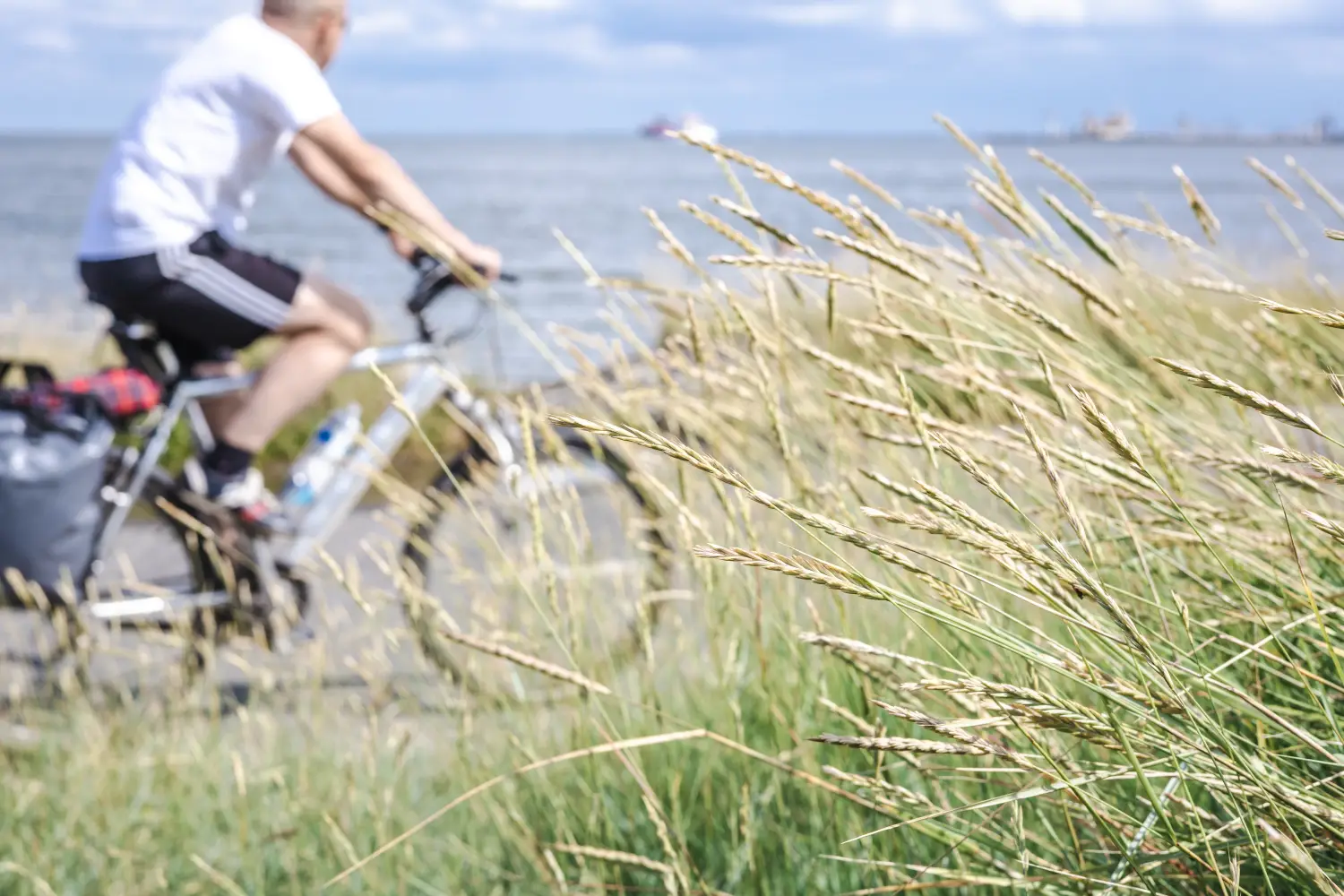Kłosy traw morskich na pierwszym planie, stanowiące ostry detale kadru, z rozmytym w tle rowerzystą w białej koszulce i spodenkach, jadącym na rowerze wyprawowym z sakwami wzdłuż nadmorskiej ścieżki.