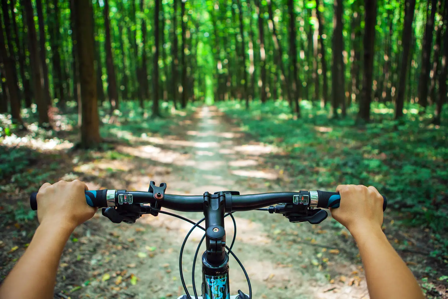 Widok z perspektywy pierwszoosobowej (POV) z kierownicy roweru na leśną ścieżkę otoczoną wysokimi drzewami.