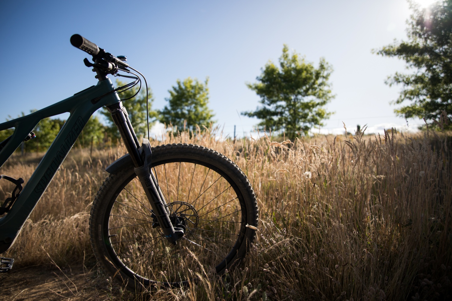 Transport roweru z karbonową ramą – który bagażnik najlepiej chroni delikatny sprzęt?