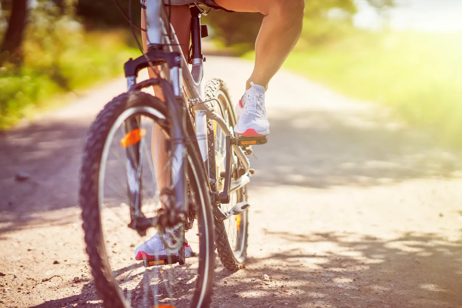 Weekend z rowerem – najpiękniejsze trasy rowerowe w Polsce