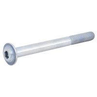 Śruba blokująca pałąk platformy rowerowej - Atera Strada 9908700016